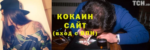 трава Няндома