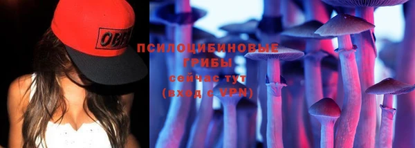 спиды Новодвинск