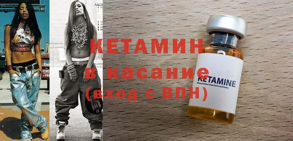 трава Няндома