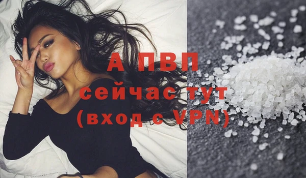 твердый Новокубанск