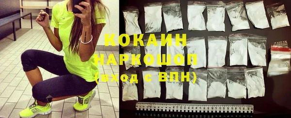 спиды Новодвинск