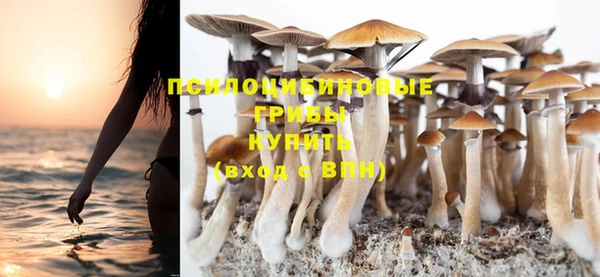 спиды Новодвинск