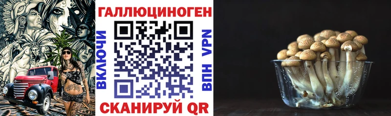 наркошоп  Урюпинск  гидра как войти  Псилоцибиновые грибы Magic Shrooms 