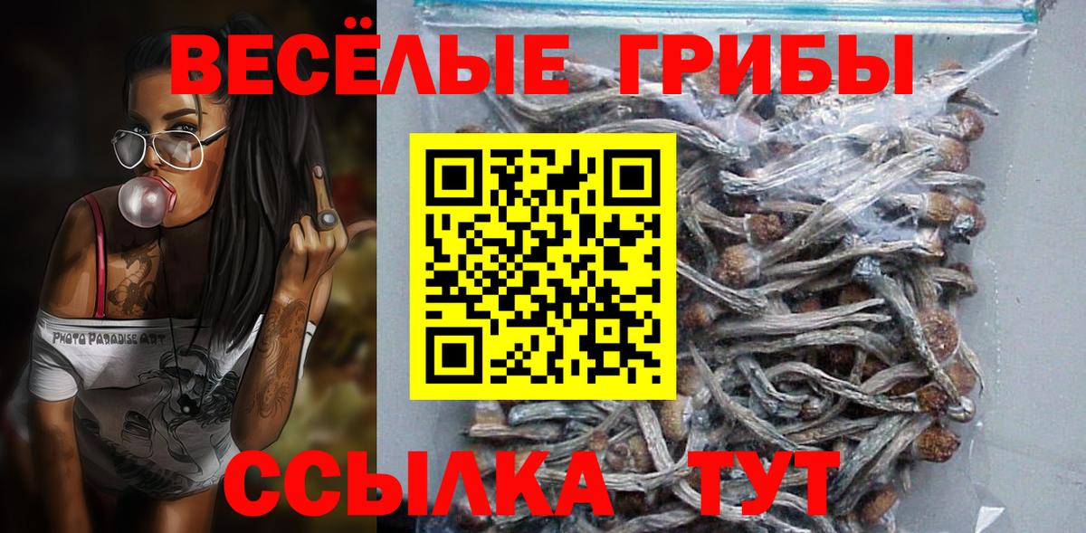 Псилоцибиновые грибы Cubensis Урюпинск