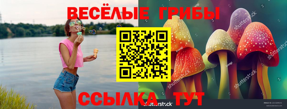 Псилоцибиновые грибы MAGIC MUSHROOMS Урюпинск