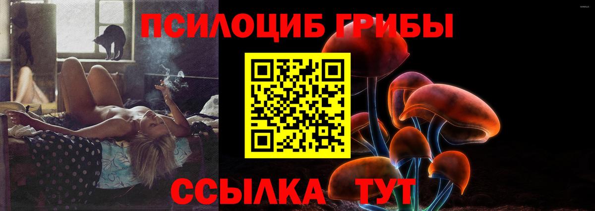 Урюпинск  Псилоцибиновые грибы Magic Shrooms  Вход с VPN 